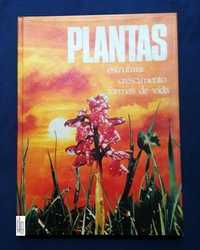 Plantas. Estrutura Crescimento Formas de Vida.