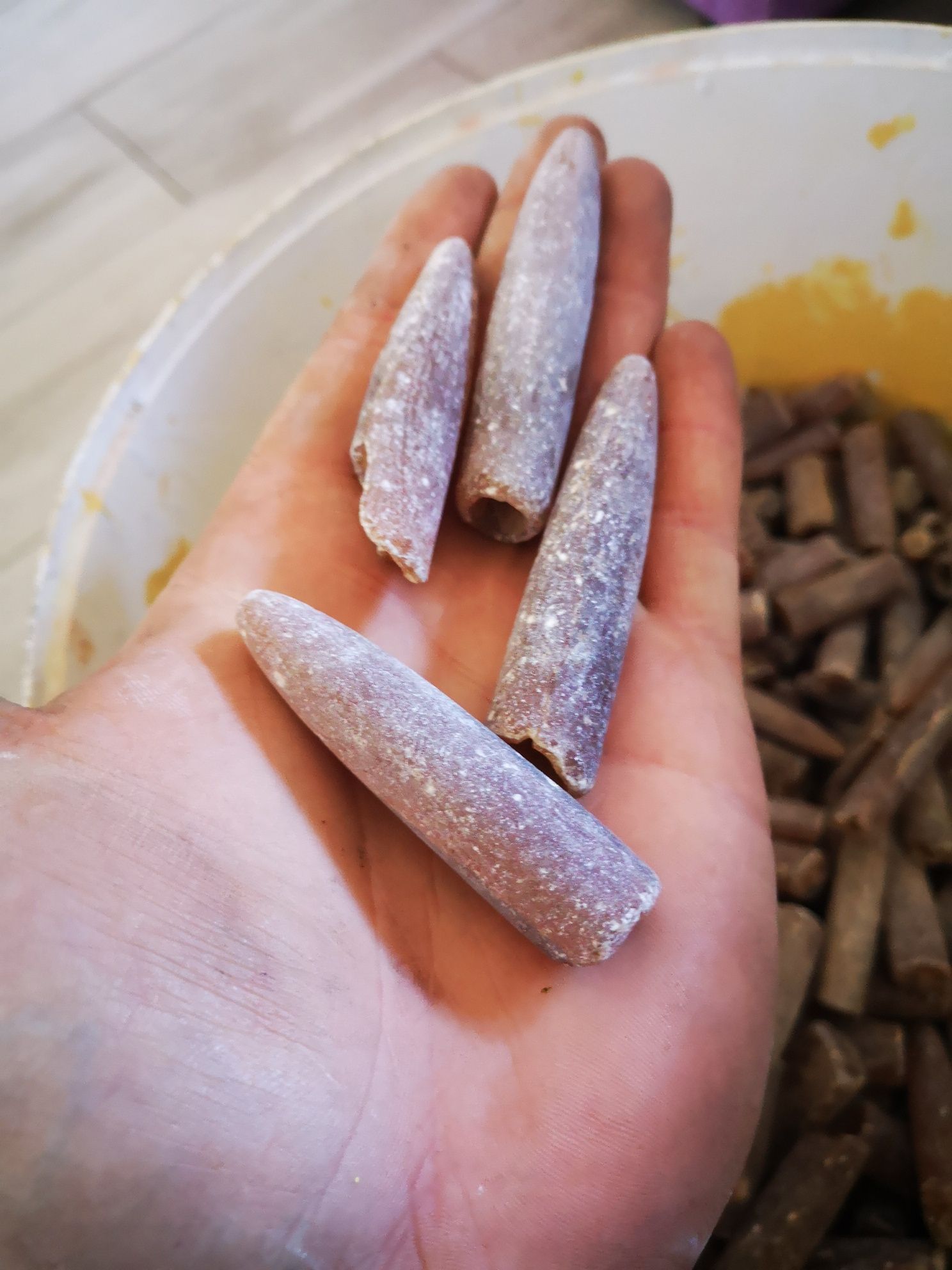 Belemnity belamnity strzałka piorunów 5kg a skamieliny