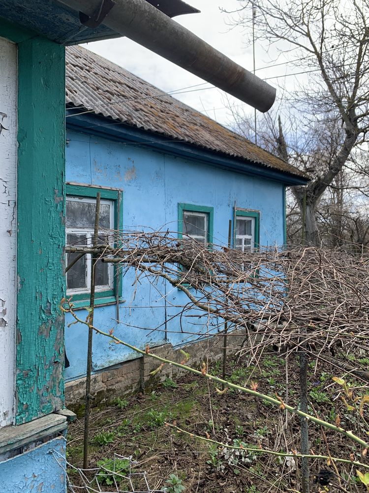 Будинок в селі Олишівка,недалеко від Чернігова.Власник.
