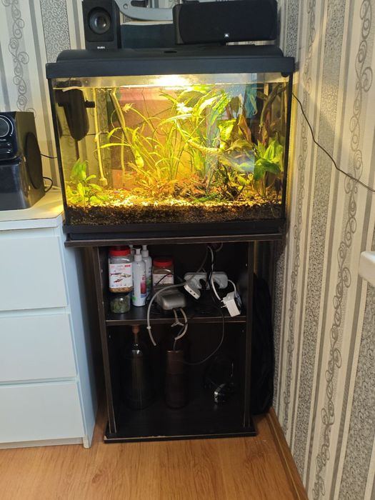 Терміново продам акваріум на 70л