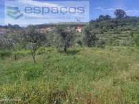 Terreno Rustico