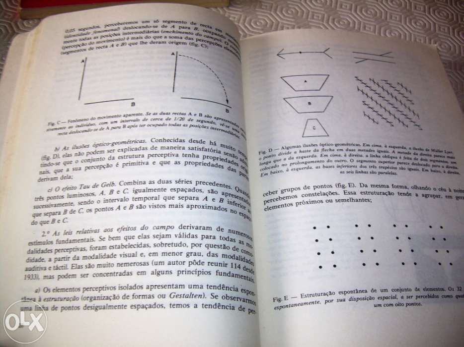 Psicologia 10º ano escolaridade (2 volumes)