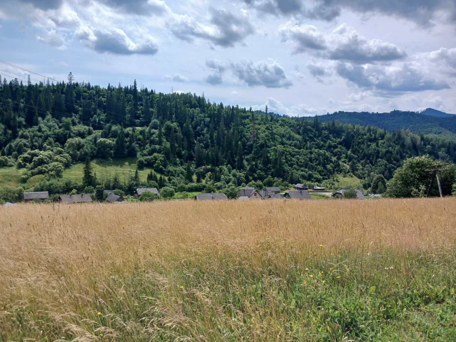 Земельна ділянка