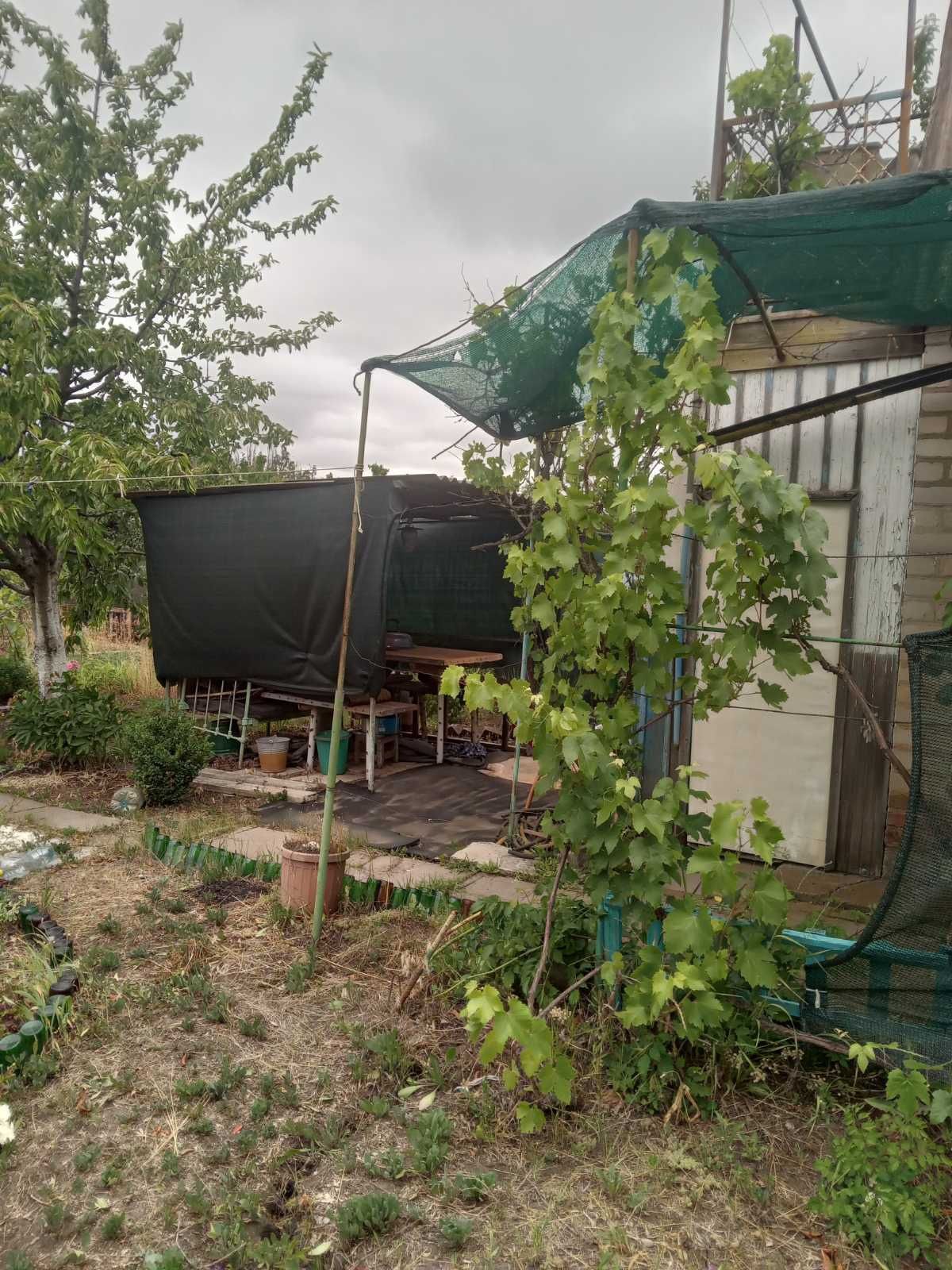 Продам дачу кооператив "Прогрес"