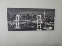Obraz Tokyo 115x55