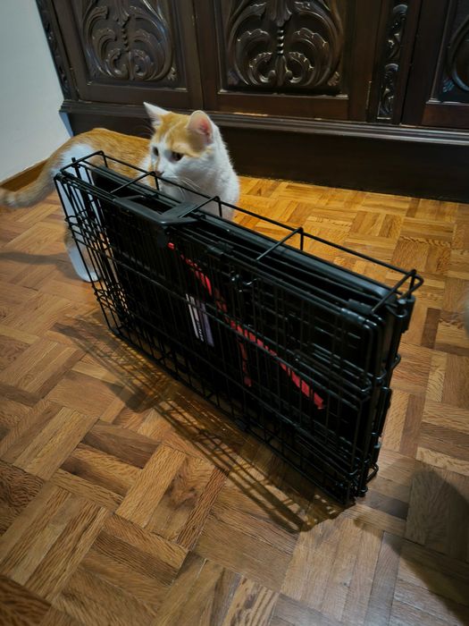 Crate de transporte gato ou cão