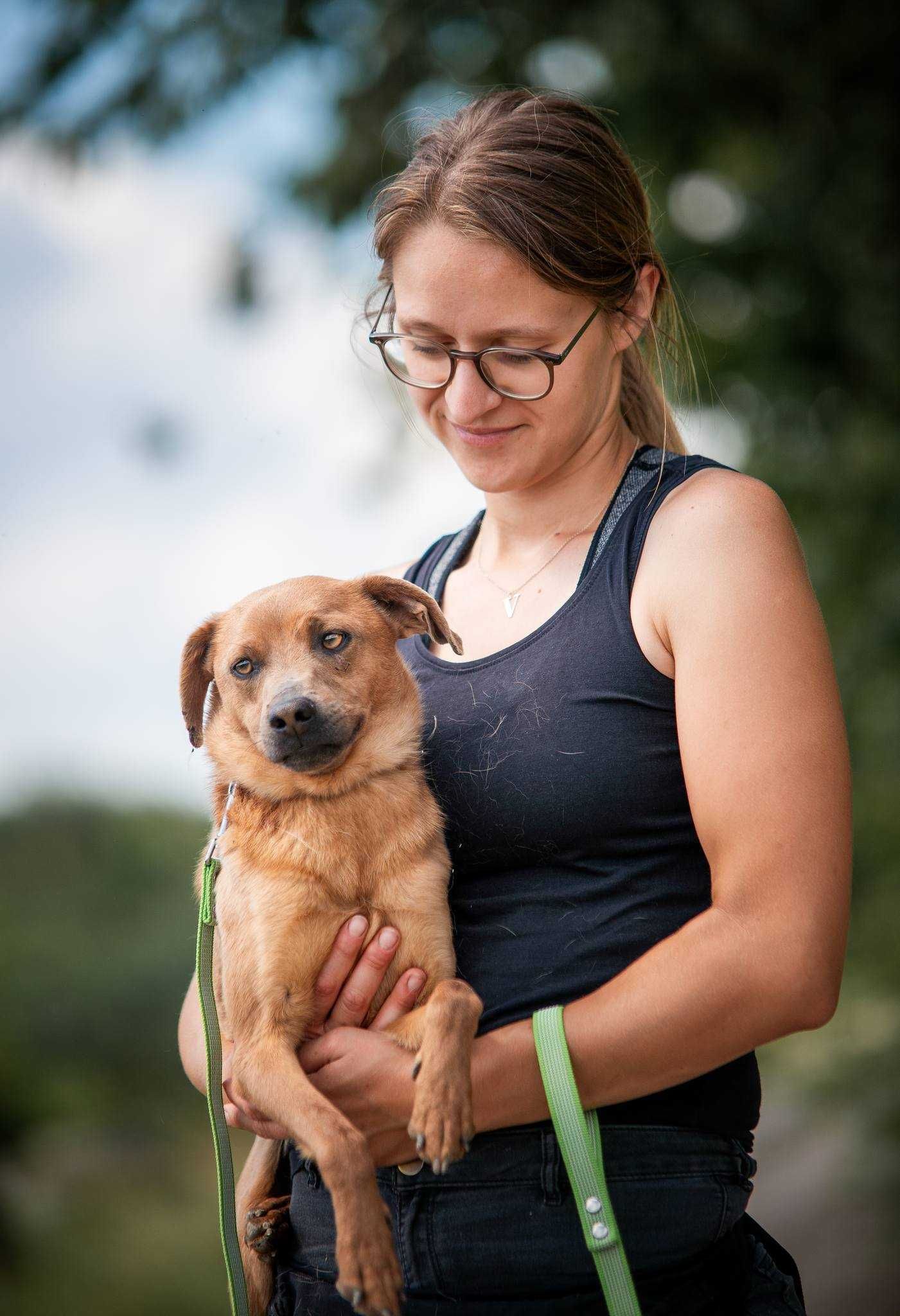 Ulek - młody psiak szuka nowej rodziny ADOPCJA