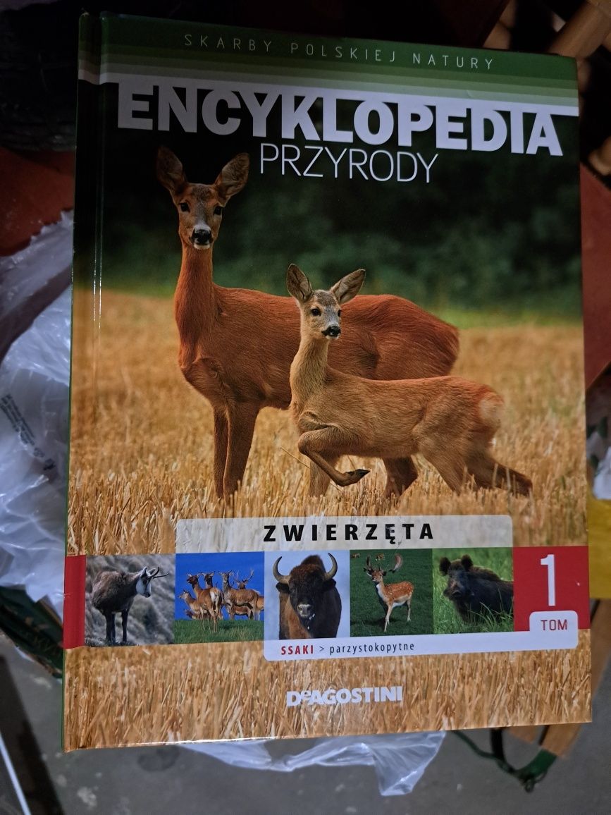 Encyklopedie w czesciach