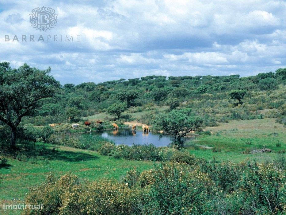 Terreno para 12 Villas, Ourique | Barra Prime