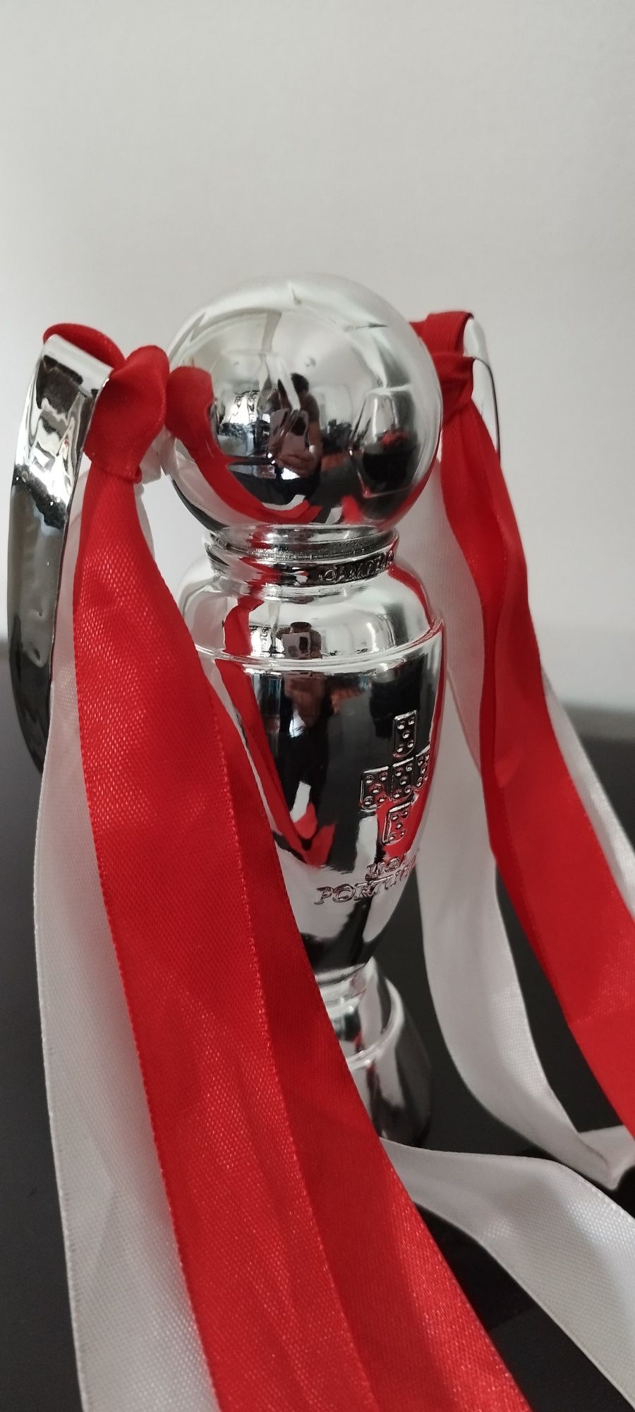 Prenda de Aniversário/Natal - Taça Campeão Nacional