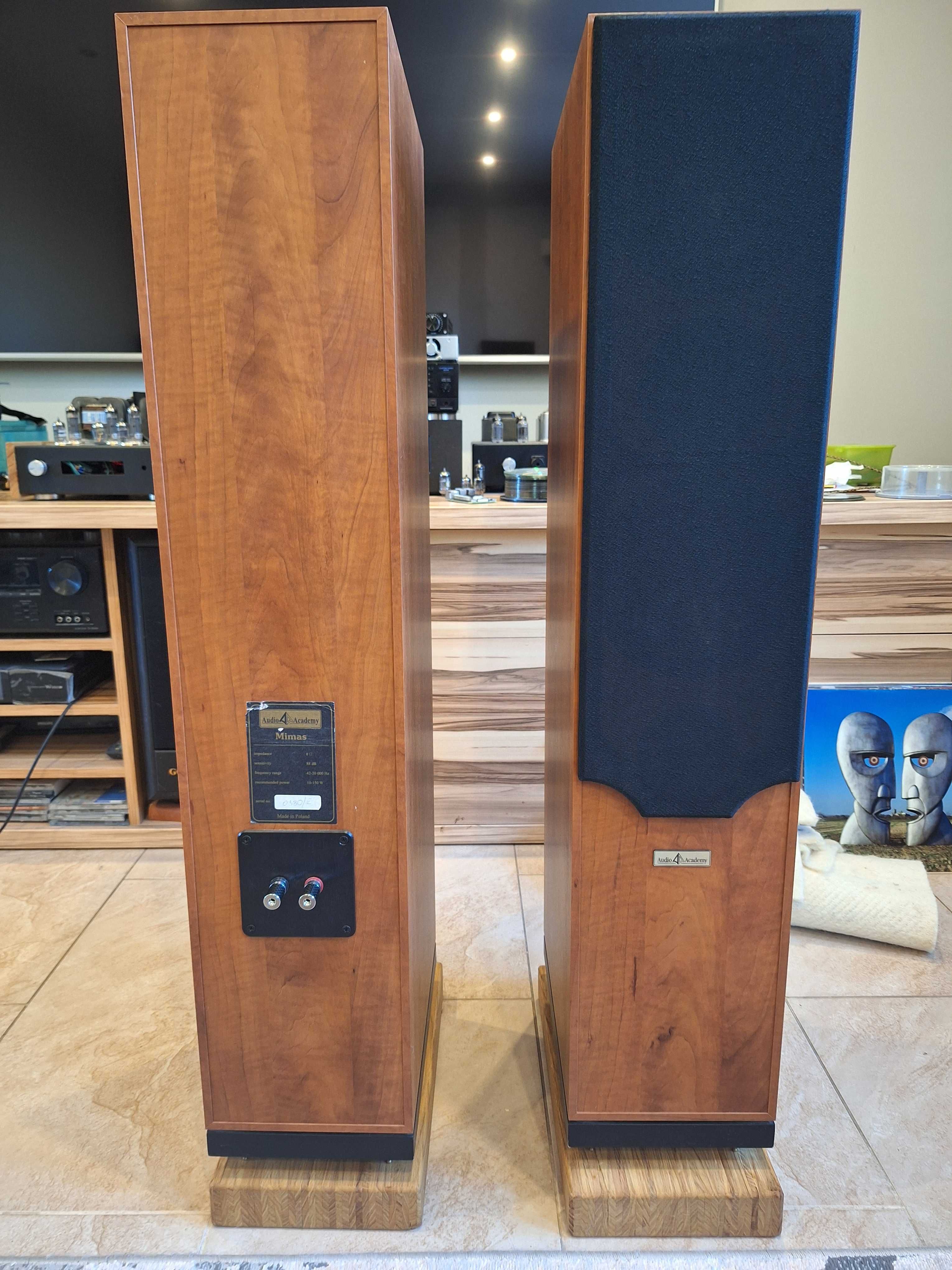 Kolumny głośnikowe Audio Academy Mimas