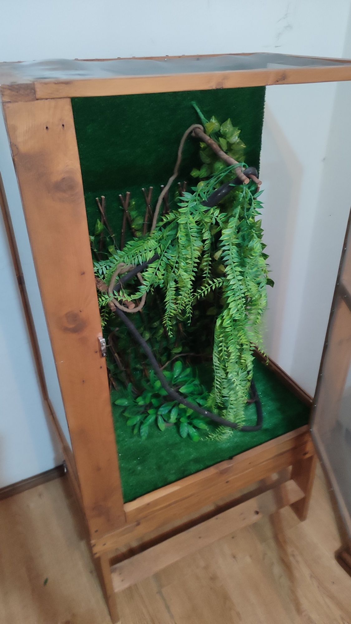 Terrário madeira