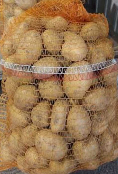 Ziemniaki jadalne Denar