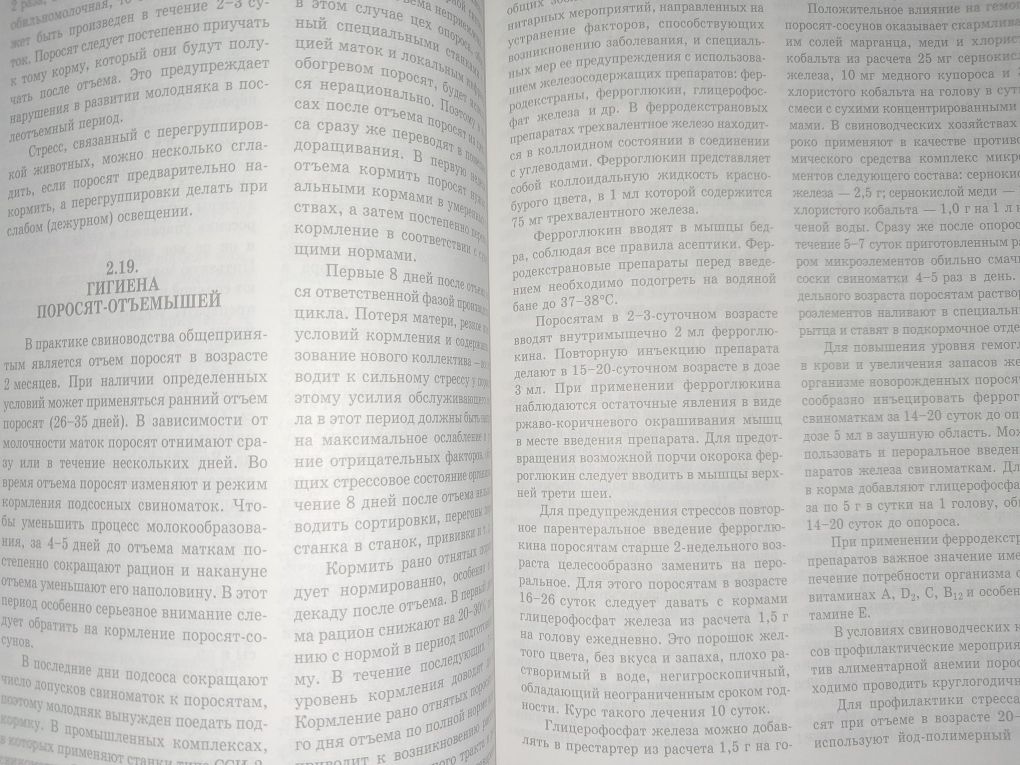Свиньи. Содержание, кормление кузнецов 2007
Автор: Кузнецов