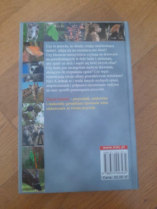 Jak błysnąć wiedzą