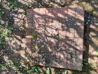Płytki zewnętrzne 50/50cm
