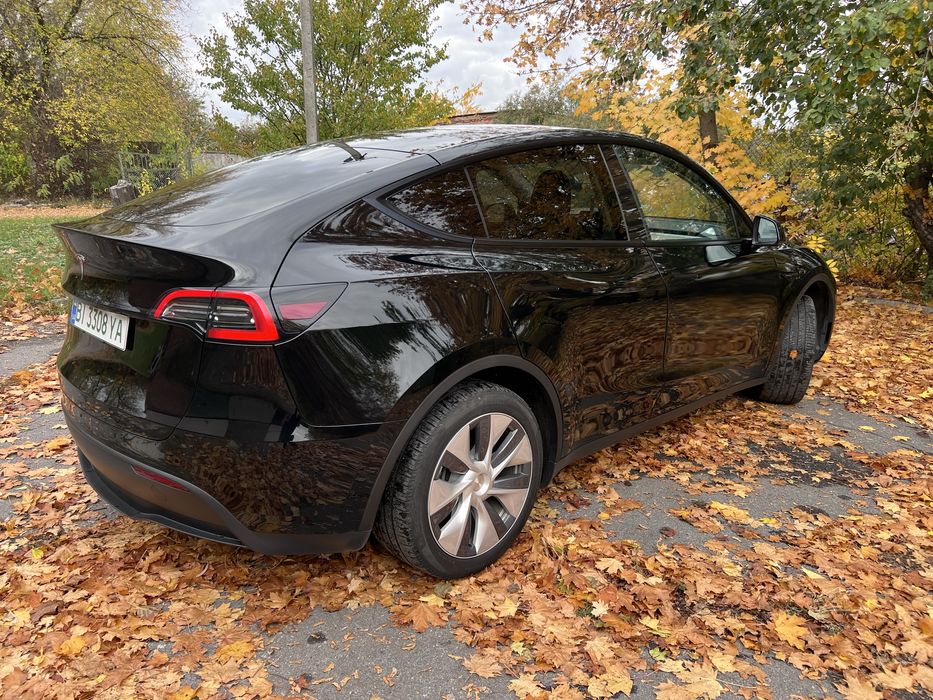 Тесла у Tesla Y 2024