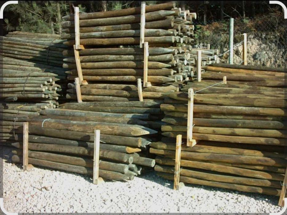 Paus de vedação/ vinha