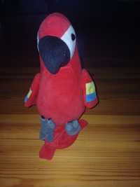 Papuga maskotka duża