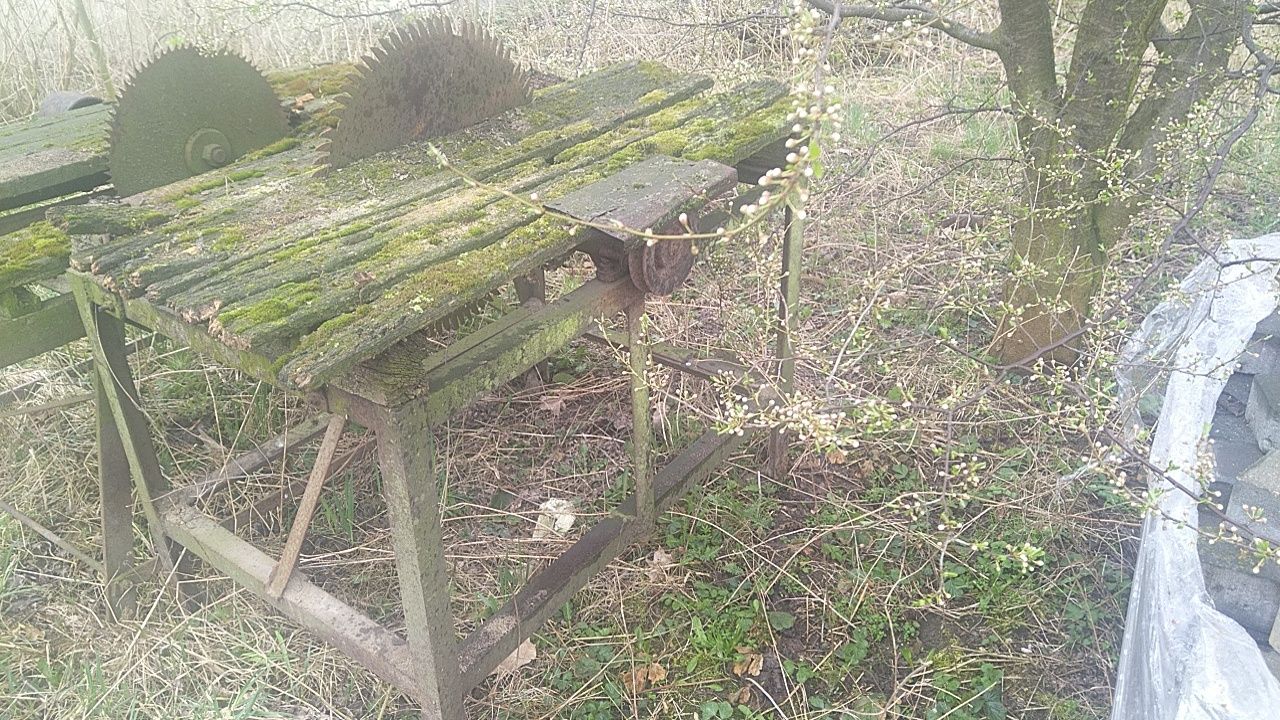 Krejzaga, piła stołowa