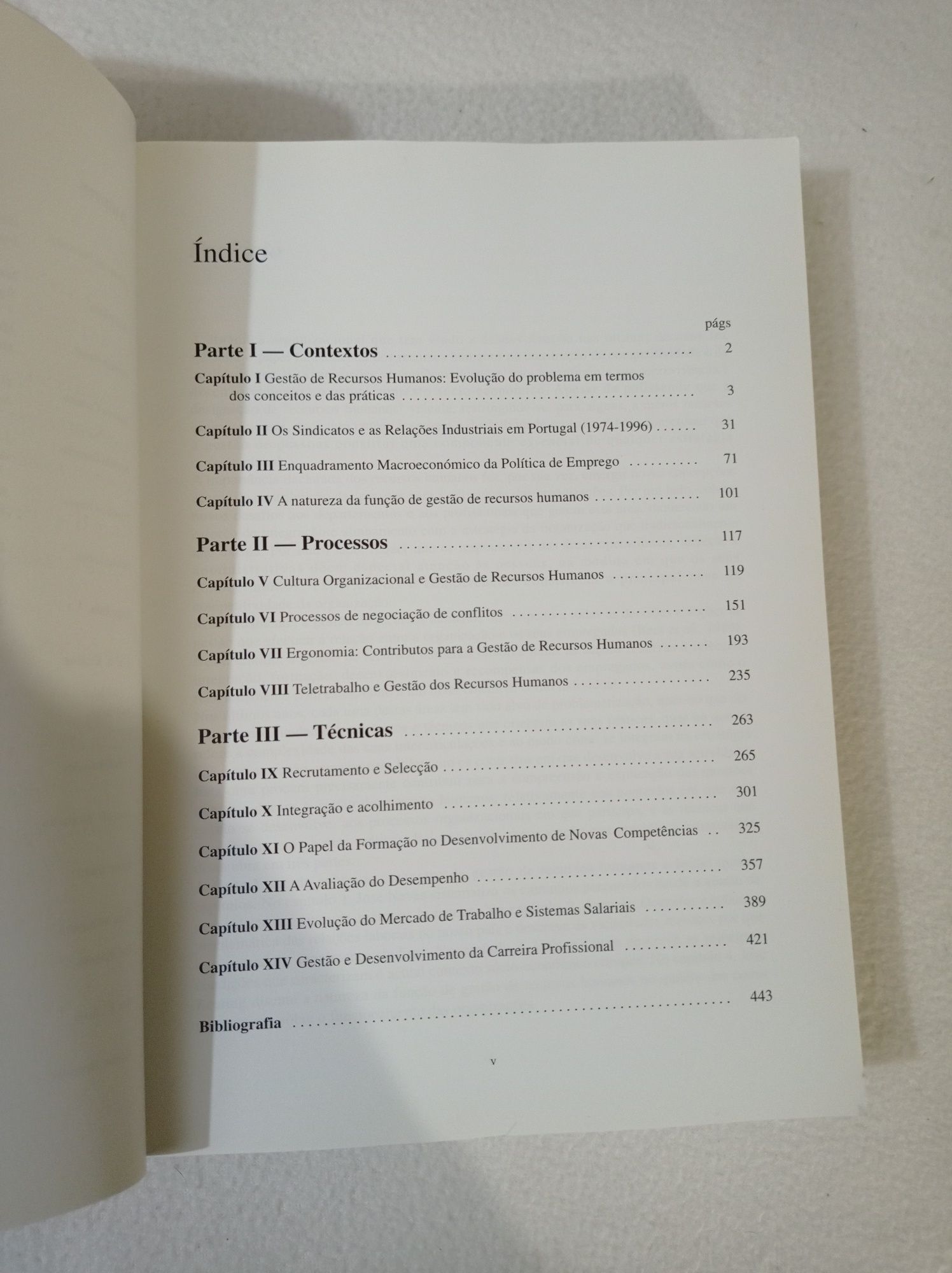 Gestão de recursos humanos - contextos, processos e técnicas