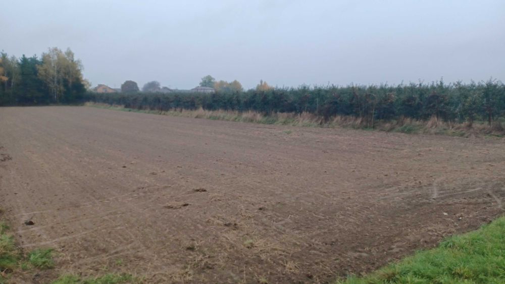 Działka budowlana Nowogród