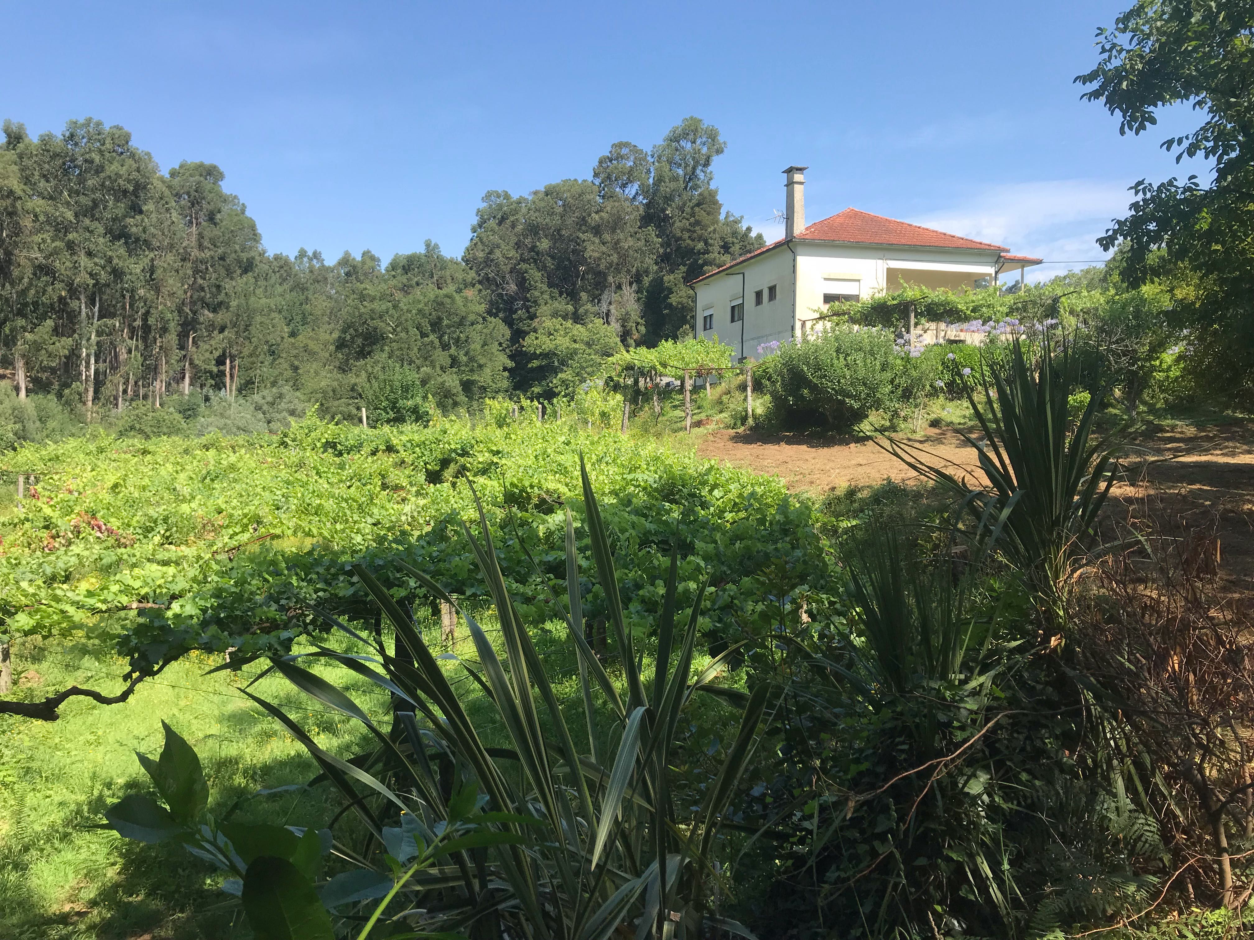 Quinta em Ponte de Lima