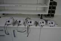 motor de manicure