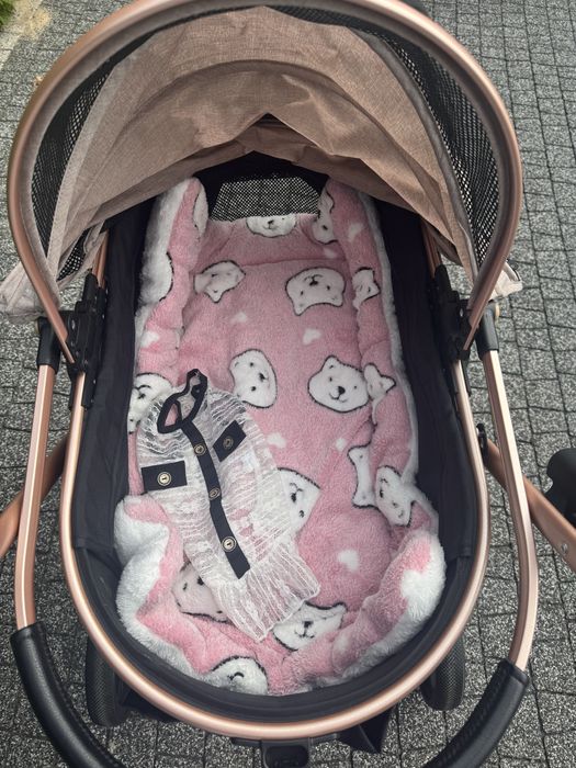 Ekskluzywny wózek dla psa