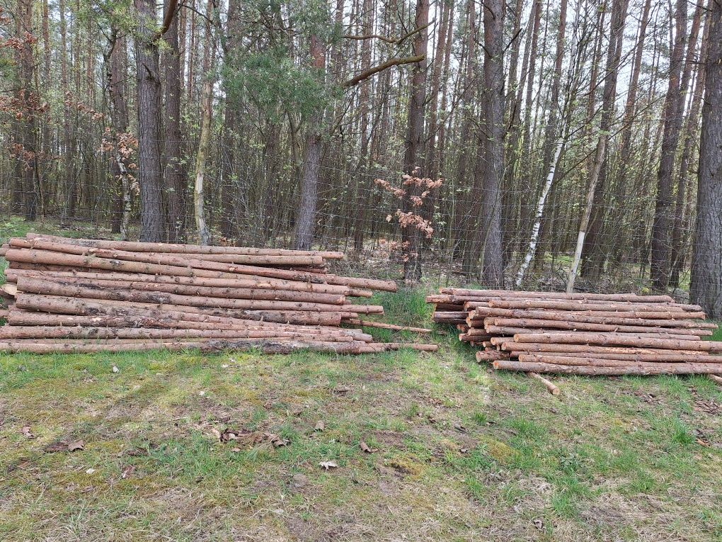 Drewno opałowe, gałęziówka,wałki i stemple budowlane.