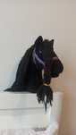 Hobby horse konik