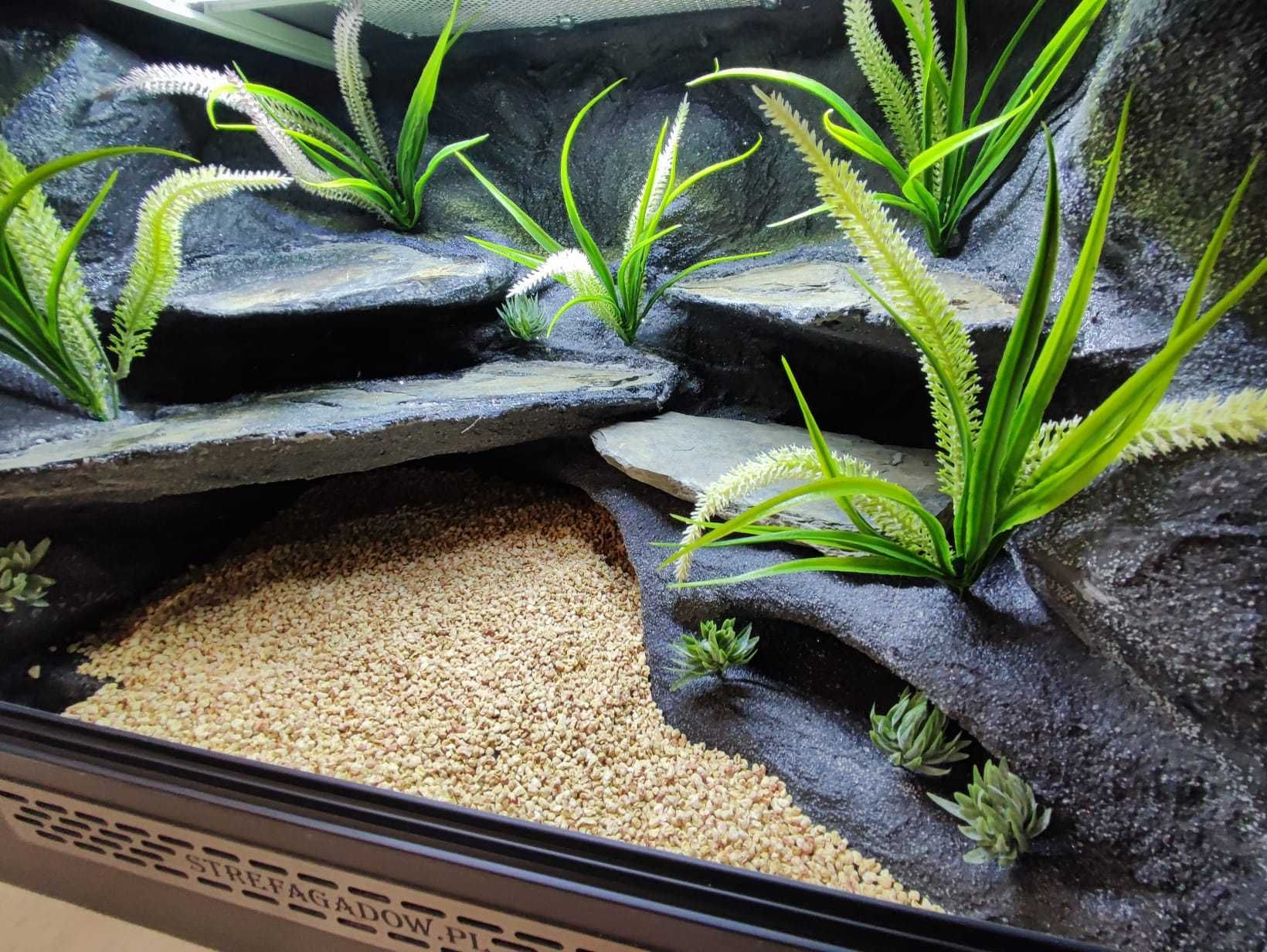 Terrarium pustynne nr657 60/40/40 dla gekona lamparciego NA ZAMÓWIENIE