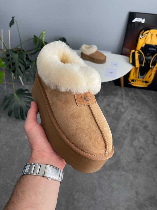 Женские сапоги UGG Coquette Platform Chestnut 36-41 Натур Замша! Хит!