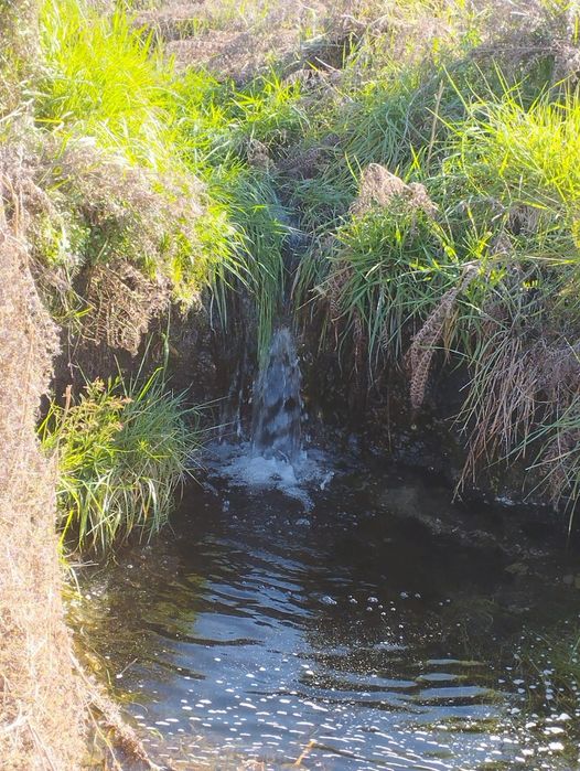 Quinta 5 ha – Figueiró da Granja / Fornos de Algodres