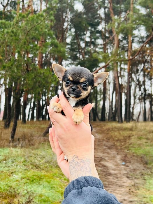 Детки чишки мальчик и девочки.