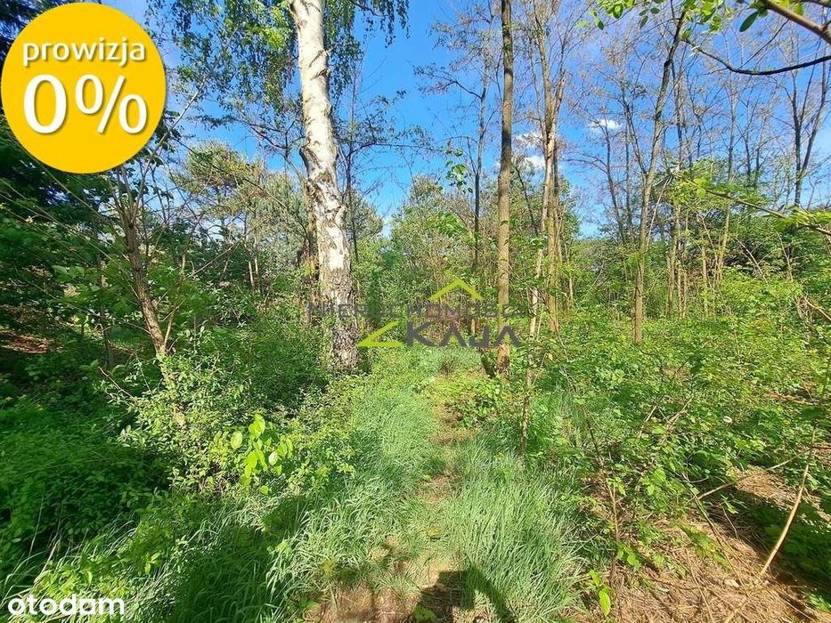 Działka pod zabudowę - Wilkanowo