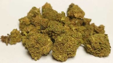 2G Susz CBD Super Silver Haze 35% (bez THCP HHCO) marihuana