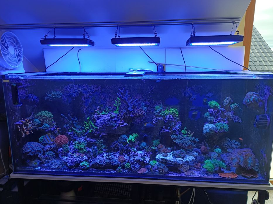 Sprzedam lampę X30 Blue 215W soczewk skupiające i Radiion