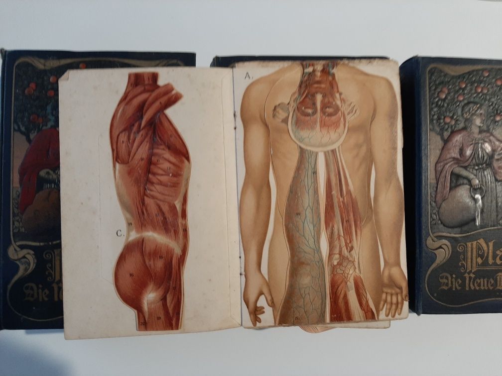 Książki Platen medycyna medyczne antyk zestaw