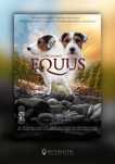 Parson Russell Terrier