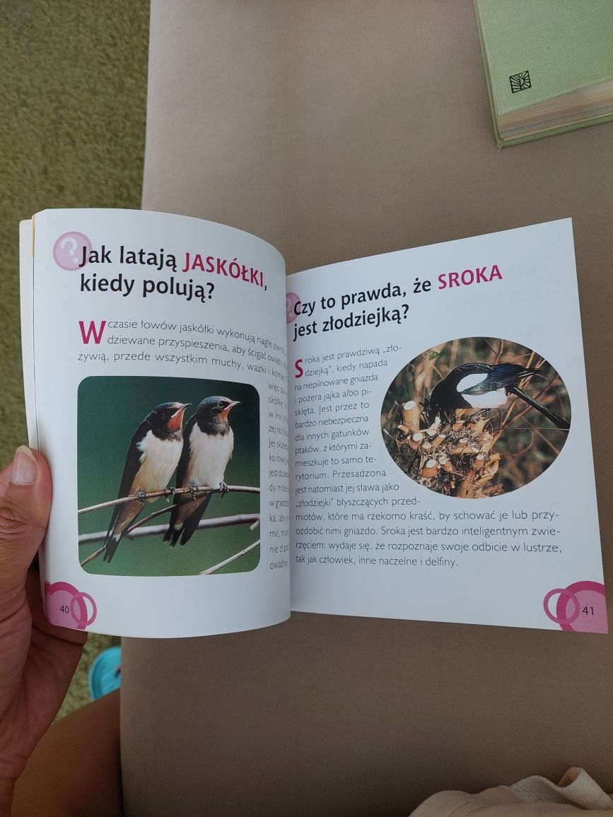 1000 pytań zwierzęta, książka
