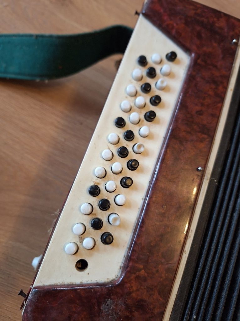 Harmonia guzikowa, akordeon
