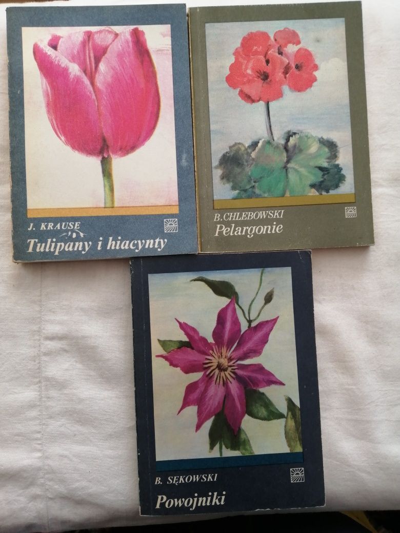 "Powojniki", "Pelargonie", Tulipany i hiacynty "