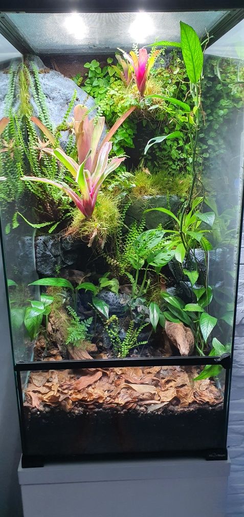 Terrarium, paludarium z wystrojem  i  szafką