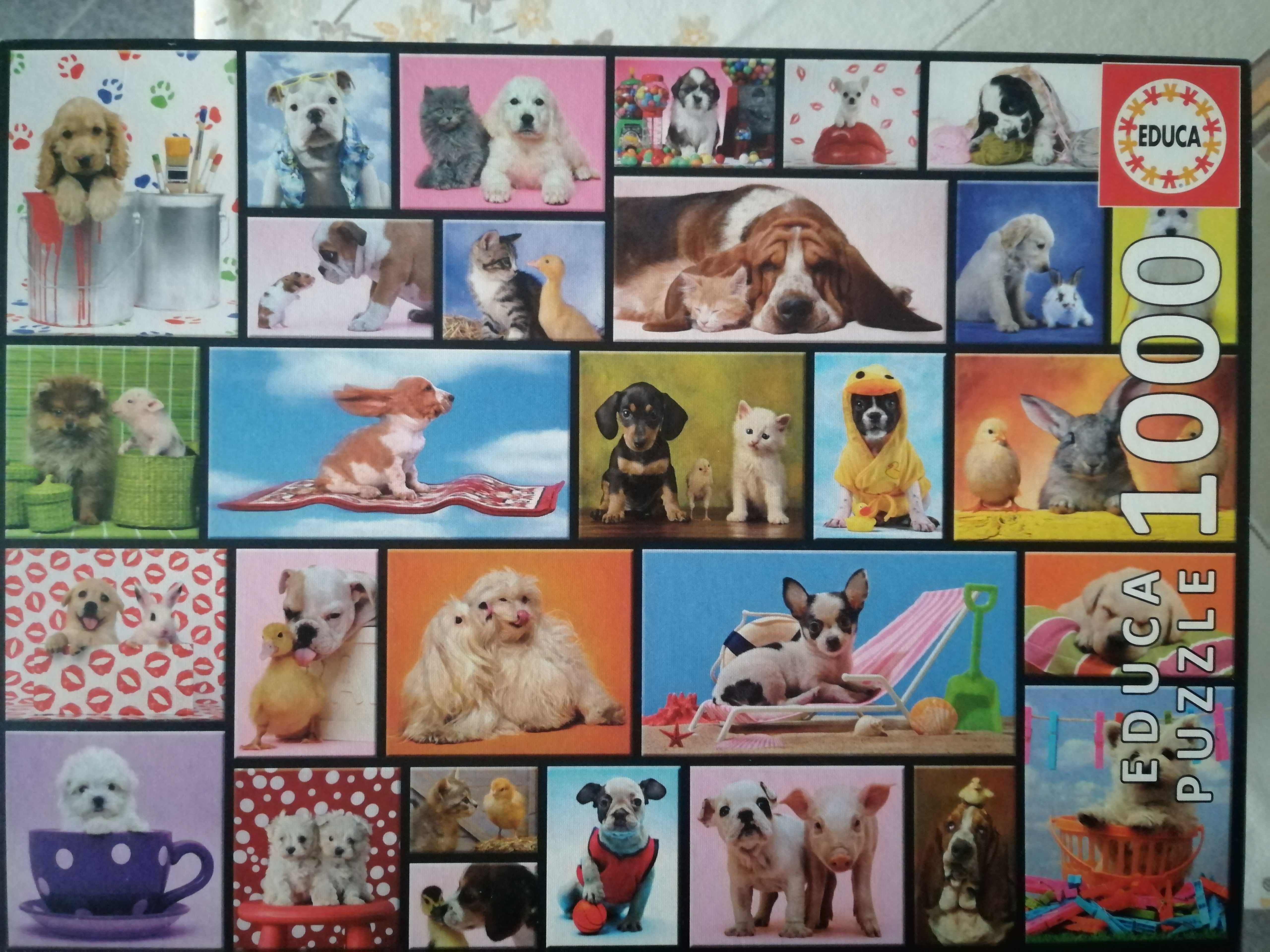 Puzzle Educa - Puzzle 1000 Peças "Momentos Partilhados" - Cães