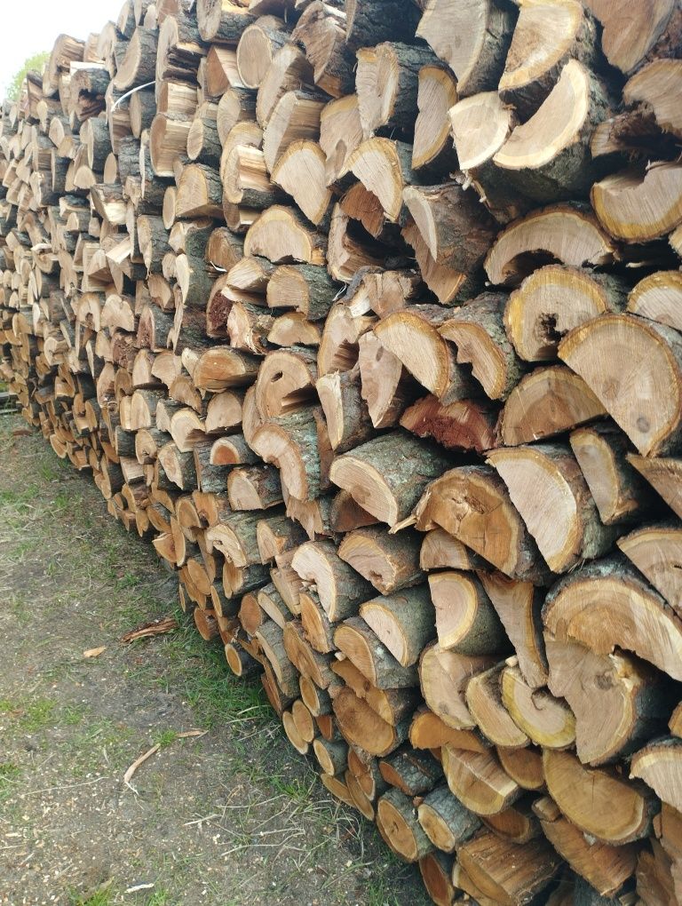 Drewno kominkowe