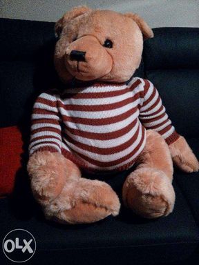 Peluche Urso Novo