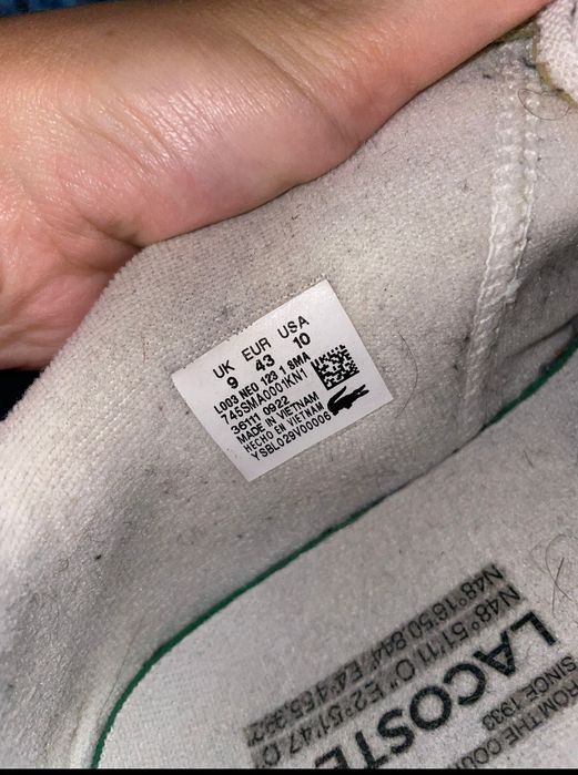 Ténis Lacoste excelente estado n43