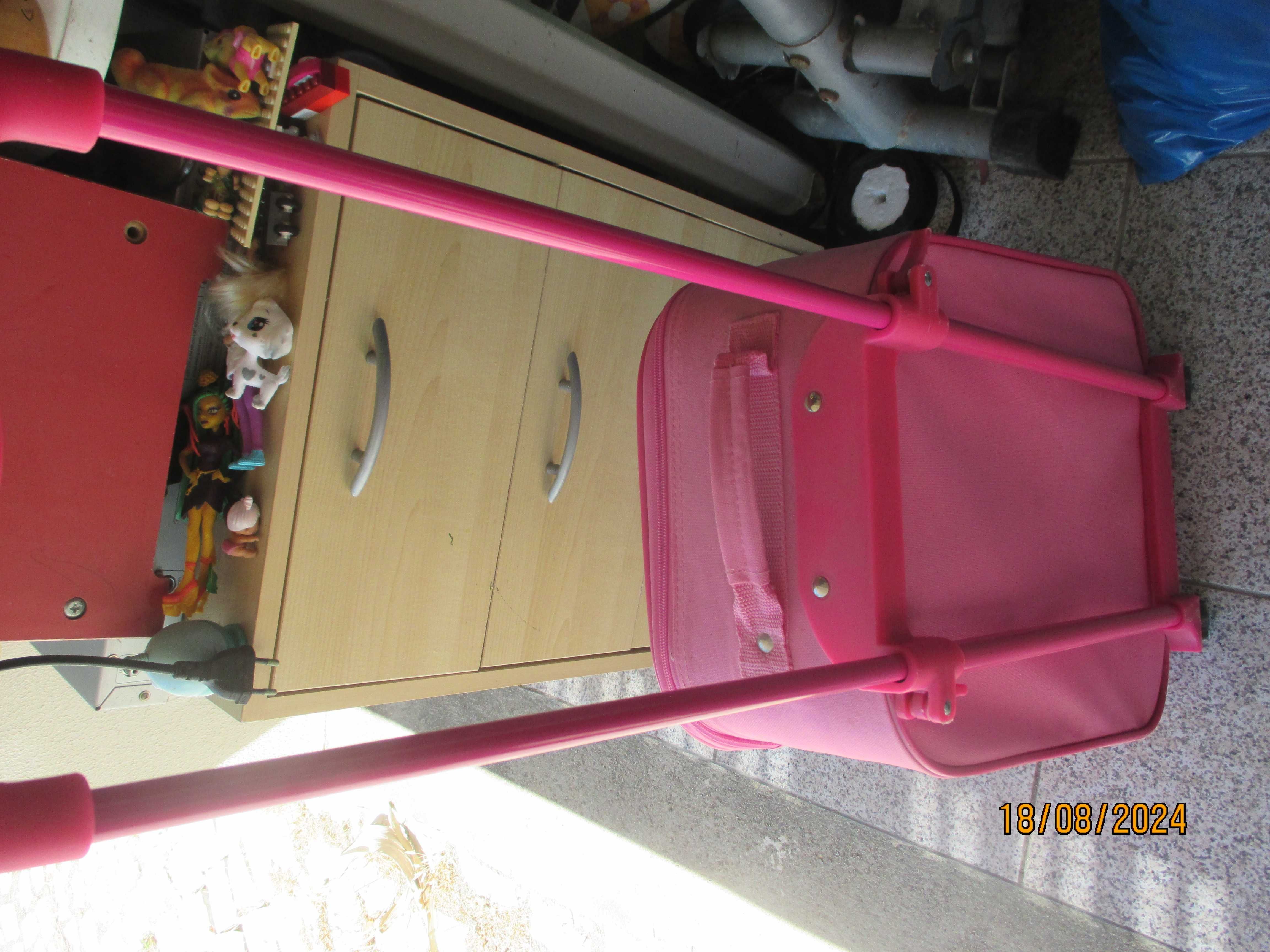 Trolley para criança - Elsa and Anna