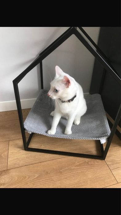 Bujka hamak legowisko dla kota stan idealny